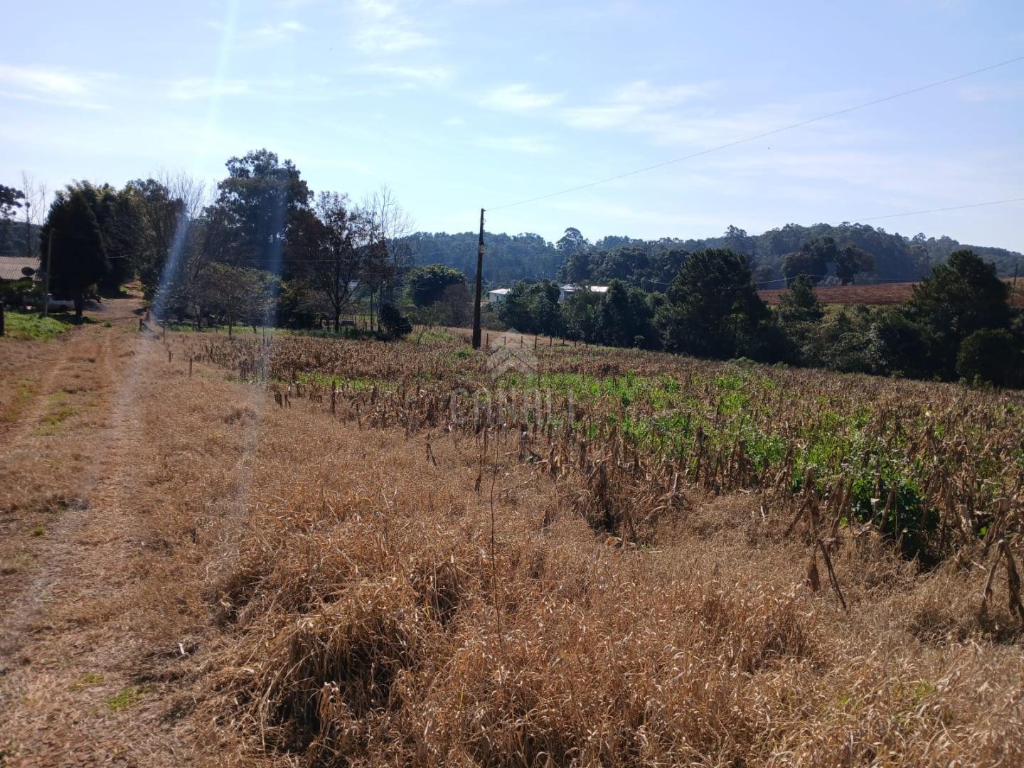 Chácara para venda — foto 1