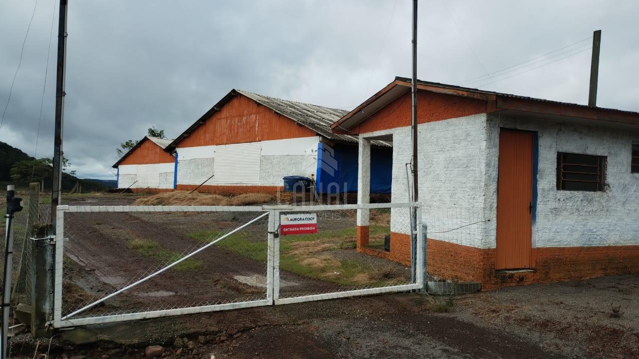 Aviário em São Marcos, interior de Santa Cecília